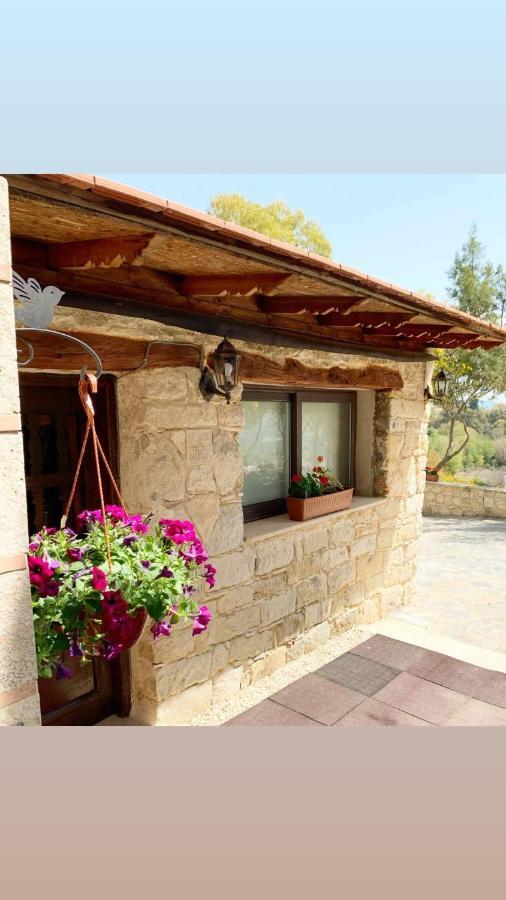 Cosmema House 2 Studio With Great Mountain View Stroumbi Exterior photo